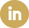 company-linkedin-icon