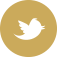 company-twitter-icon