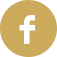 company-facebook-icon